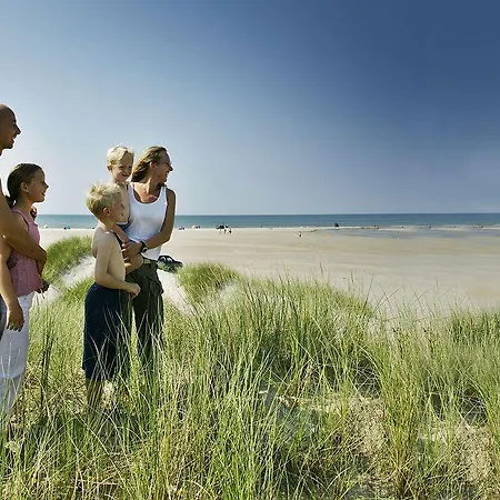 Holiday Center מלון *